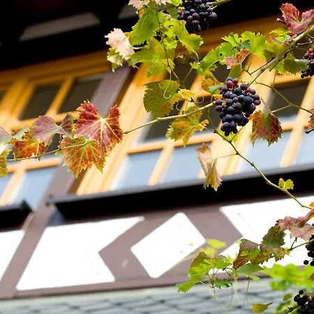 Otel Landgasthof Rebstock 3*