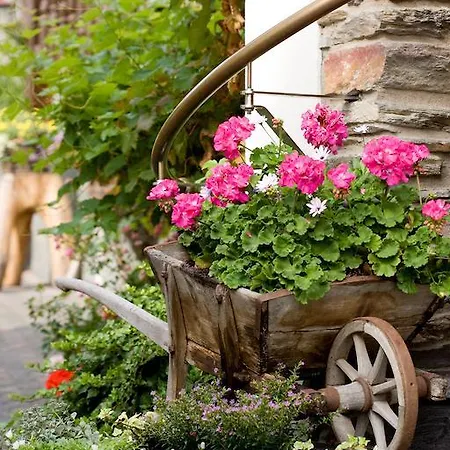 Otel Landgasthof Rebstock 3*