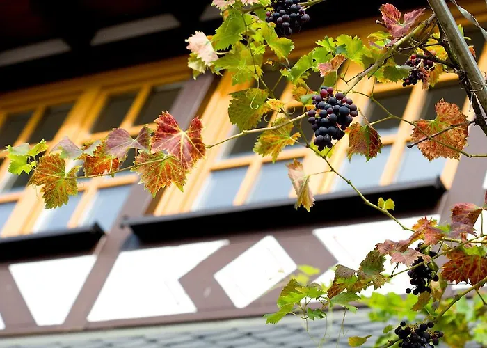 ホテル Landgasthof Rebstock 3*