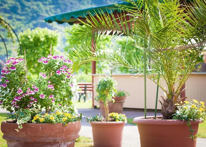 Landgasthof Rebstock ホテル